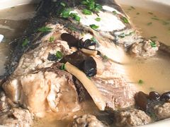 -明珠湖天鹅苑·农家菜馆