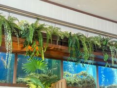 -珍宝海鲜JUMBO Seafood(ifc店)