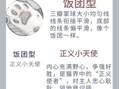 -翊宠yipet猫狗购宠庄园犬舍•猫舍