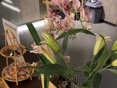 -施奈儿.洗头頭療.按摩SPA.采耳(上梅林店)