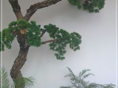 -苏小柳手作点心(控江旭辉分院)