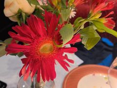 -马语者西餐.干式熟成牛排(野马黑金店)