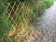 -JUKEBOX玖部音乐餐厅(华侨城店)