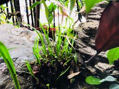 -三峡古玩城(泰古广场店)