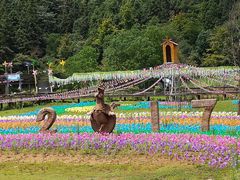 -千岛湖龙川湾