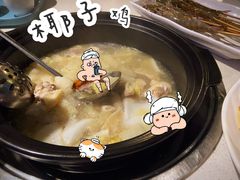 -百年果林椰子鸡(中洲店)