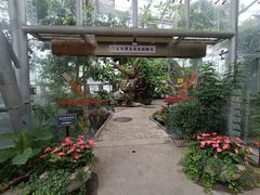 -北京植物园-展览温室