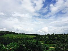 -西双版纳融创皇冠假日度假酒店