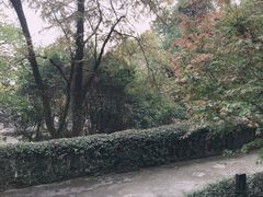 -杭州西湖风景名胜区-北街寻梦