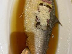 -宝燕壹号(徐汇店)