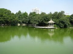 -四海公园(南山区)