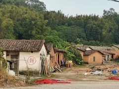 -黄埔油麻山森林公园
