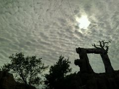 -威海华夏城景区