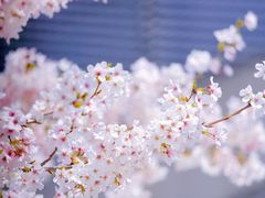 -龙美术馆(西岸馆)