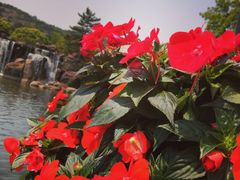 -白马涧龙池景区