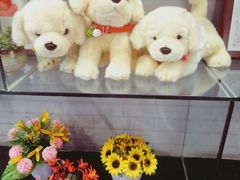 -阿西娅食府(中关村店)