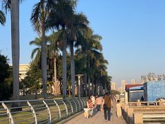 -白鹭洲公园