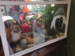 -狐狸家·酸奶酪专门店(平江路店)