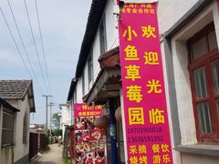 -小鱼草莓采摘园农家乐·小鱼餐厅
