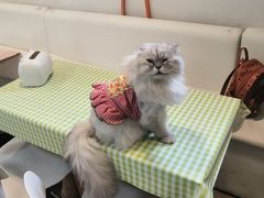 -小时光咖啡馆(北锣鼓巷店)