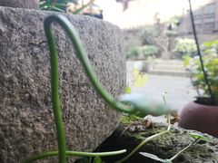 -盒马鲜生(杭州运河上街店)