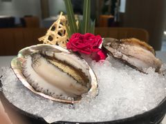 -鲐赏河豚(长寿店)