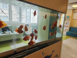 -杭州贝瑞斯美华妇儿医院·早孕·产检·儿科