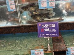 -盆满钵满·国家非遗传承(云台店)