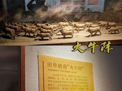 -青岛市博物馆