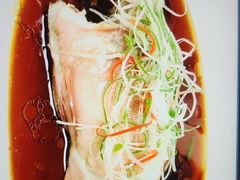 清蒸东星斑-晶采轩(虹桥路店)