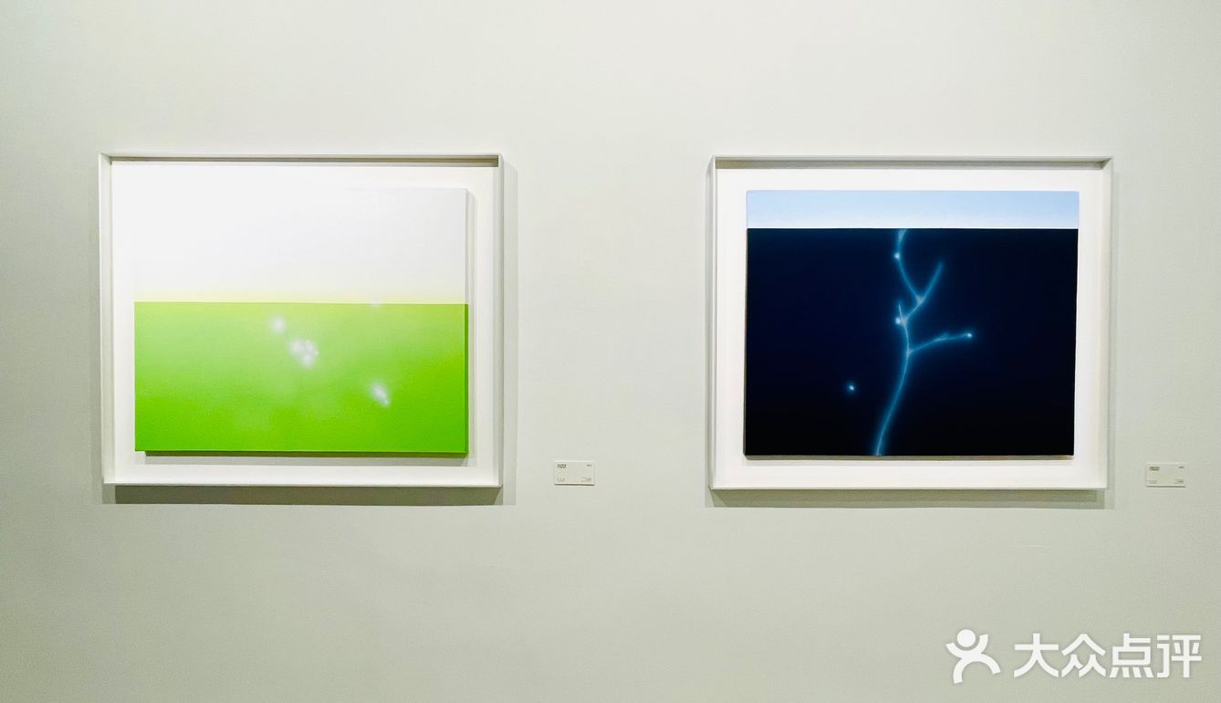 适度拟真｜贾志恒的视觉景观💚☘️