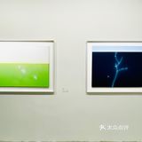 适度拟真｜贾志恒的视觉景观💚☘️