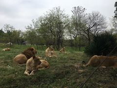 -西安秦岭野生动物园
