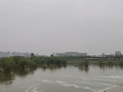 -灞河西岸滨河公园