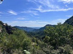 -大岭沟猕猴桃谷风景区