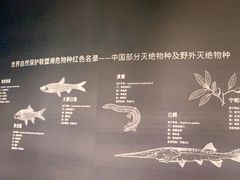 -中国湿地博物馆
