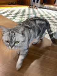 -优刻西服西装定制(金轮国际广场店)