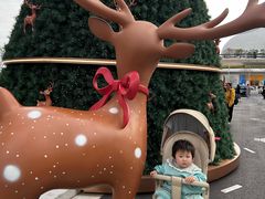 -深圳湾万象城(南山店)