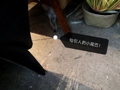 -咖法森林·咖啡  酒吧(天河店)