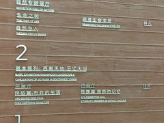 -四川大学博物馆