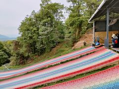 -南丹山森林王国