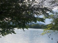 -苏堤停车场