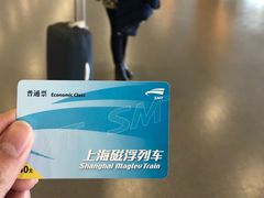 -浦东1号2号航站楼(地铁站)