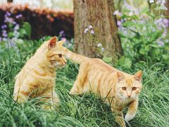 -苏州河梦清园环保主题公园