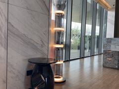 -东方美谷JW万豪酒店·The lounge大堂吧