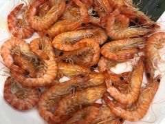 -喜来酌海鲜·饺子(和平一店)