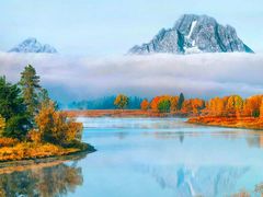 -枫林湾牛扒自助西餐厅(兴东店)