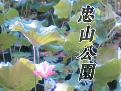 -忠山公园