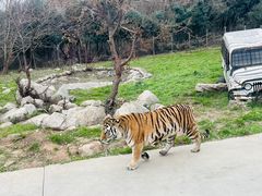 -西安秦岭野生动物园
