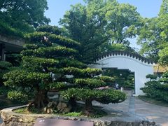 -南山植物园